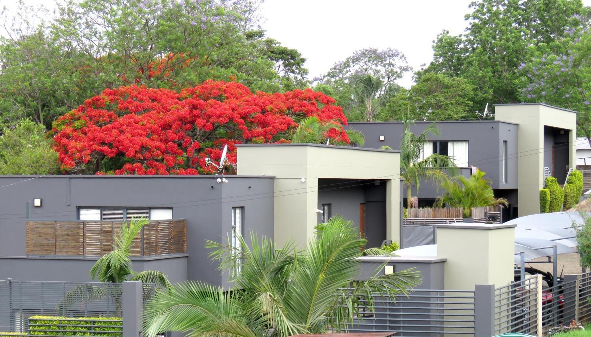 The Executive - Exclusive Self-Catering Apartments - Ezulwini Exteriör bild